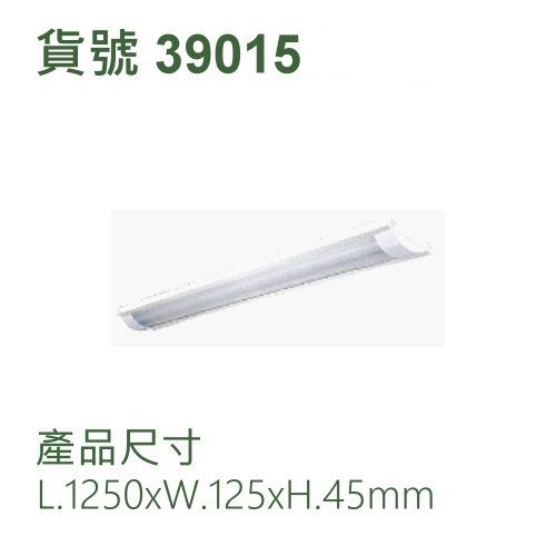 吸頂式/配 T8 燈管四呎x2